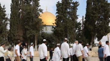 341 مستوطناً إسرائيلياً يقتحمون “الأقصى” بحماية شرطة الاحتلال