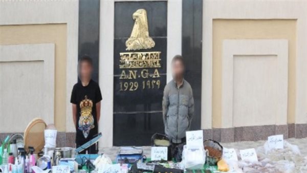 بـ 13 مليون جنيه.. إحباط محاولة ترويج استروكس وايس بالقليوبية بـ 13 مليون جنيه.. إحباط محاولة ترويج استروكس وايس بالقليوبية