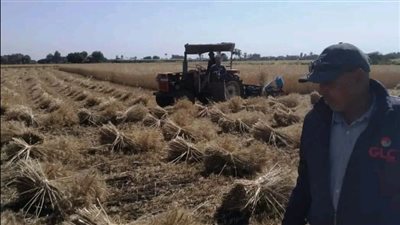 المواقع التخزينية تستقبل ٢٠٩٧٤ طن و ٧٣٩ كيلوجرام من الذهب الأصفر بالشرقية المواقع التخزينية تستقبل ٢٠٩٧٤ طن و ٧٣٩ كيلوجرام من الذهب الأصفر بالشرقية