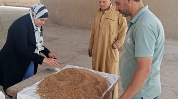 توريد 2000 طن من القمح في الأسبوع الأول من موسم التوريد بالجيزة