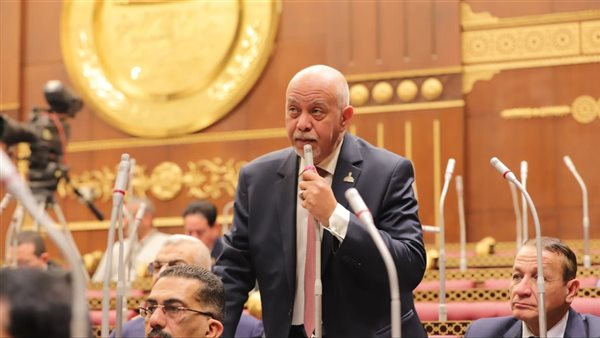النائب حازم الجندي: قواتنا المسلحة أثبتت أن الحقوق لا تُوهب بل تُنتزع النائب حازم الجندي: قواتنا المسلحة أثبتت أن الحقوق لا تُوهب بل تُنتزع