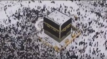 للنصب على المواطنين.. الداخلية تضبط 15 شركة سياحية في عدد من المحافظات
