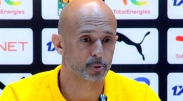 مدرب صن داونز يتحدى الأهلي بتصريحات نارية.. ماذا قال؟