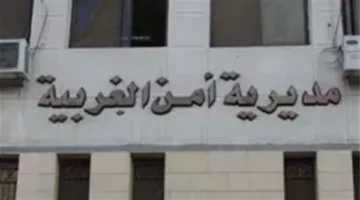 بسبب 50 قرشا.. راكب يطعن سائق ميكروباص في المحلة ويصيبه بـ100 غرزة