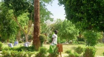 محليات بأسوان تنفذ أعمال النظافة ورفع المخلفات وتهذيب الأشجار..صور