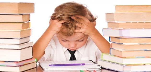 لزيادة التركيز في المذاكرة قبل الامتحانات.. أطعمة وأكلات لها مفعول السحر لزيادة التركيز في المذاكرة قبل الامتحانات.. أطعمة وأكلات لها مفعول السحر