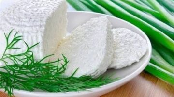 5 أنواع من الجبن يُنصح بها أثناء الحمية الغذائية