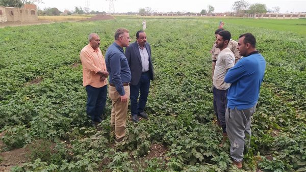 «الزراعة»: جهود ضخمة لتنمية القطاع الزراعي في سيناء وزيادة الإنتاج «الزراعة»: جهود ضخمة لتنمية القطاع الزراعي في سيناء وزيادة الإنتاج
