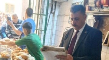ضبط 45 كرتونة رنجة مجهولة المصدر وتحرير 210 محاضر تموينية بالمنوفية