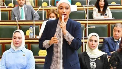 النائبة أميرة أبو شقة: توجيهات الرئيس السيسي باستغلال المساجد في التعليم خطوة مهمة لتعزيز الوعي والانتماء النائبة أميرة أبو شقة: توجيهات الرئيس السيسي باستغلال المساجد في التعليم خطوة مهمة لتعزيز الوعي والانتماء