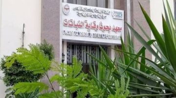الزراعة: ندوات إرشادية للتوعية بمواجهة دودة الحشد الخريفية في الذرة