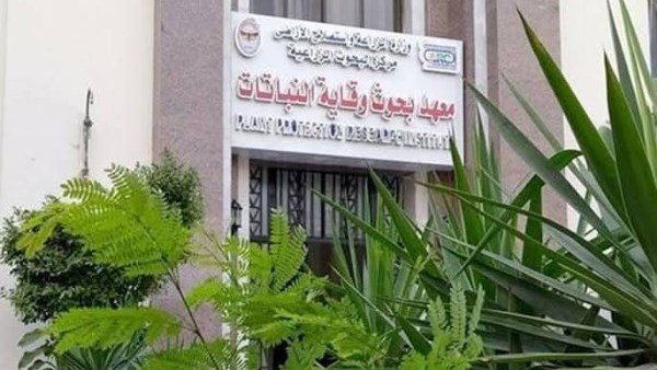الزراعة: ندوات إرشادية للتوعية بمواجهة دودة الحشد الخريفية في الذرة الزراعة: ندوات إرشادية للتوعية بمواجهة دودة الحشد الخريفية في الذرة