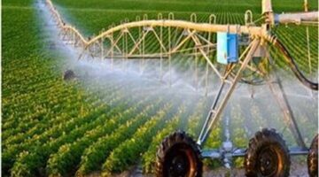 الزراعة: جهود ضخمة لتنمية القطاع الزراعي في سيناء وزيادة الإنتاج