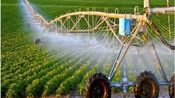 الزراعة: جهود ضخمة لتنمية القطاع الزراعي في سيناء وزيادة الإنتاج الزراعة: جهود ضخمة لتنمية القطاع الزراعي في سيناء وزيادة الإنتاج