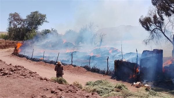 اشتعال النيران في إحدى شون القمح بالوادي الجديد | صور اشتعال النيران في إحدى شون القمح بالوادي الجديد | صور