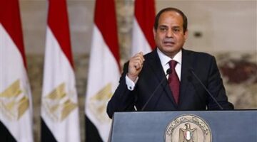 الرئيس السيسي: سياستنا سياسة مستقرة تهدف إلى تحقيق الاستقرار والتعاون لمصلحة شعوبنا