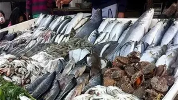 سعر الأسماك اليوم 25-4-2025 سعر الأسماك اليوم 25-4-2025