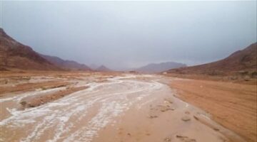 توفير المياه لزراعة 340 ألف فدان.. شبه جزيرة سيناء في صدارة أولويات التنمية