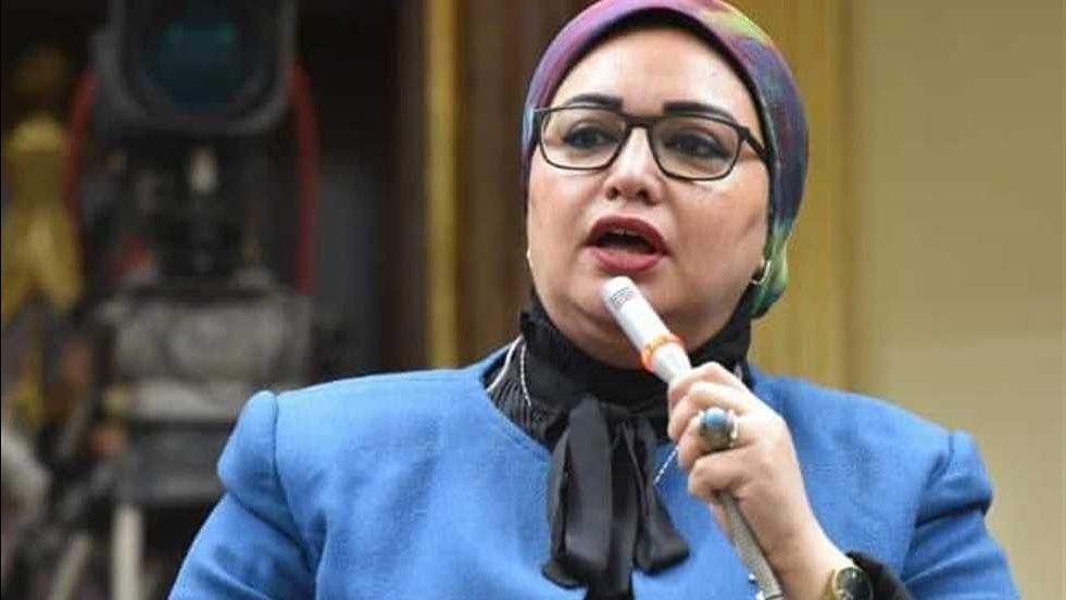وكيل القوى العاملة بالنوا : كلمة الرئيس السيسى خارطة طريق لتحقيق السلام وكيل القوى العاملة بالنوا : كلمة الرئيس السيسى خارطة طريق لتحقيق السلام
