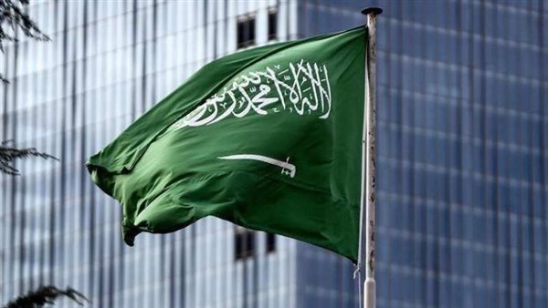 السعودية تستثمر بالمليارات في جنوب إفريقيا السعودية تستثمر بالمليارات في جنوب إفريقيا