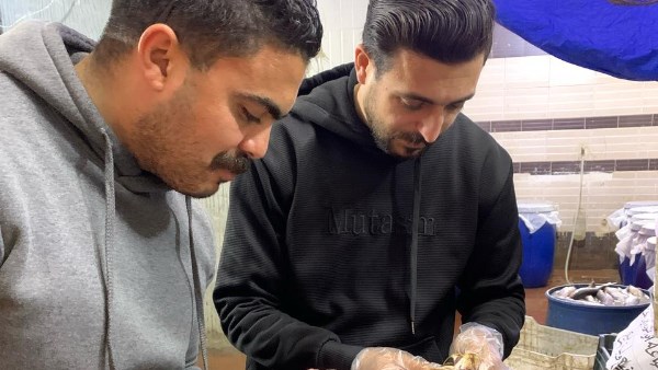 ضبط 6 أطنان فسيخ ورنجة غير صالحة في حملات مفاجئة بالغربية| صور ضبط 6 أطنان فسيخ ورنجة غير صالحة في حملات مفاجئة بالغربية| صور