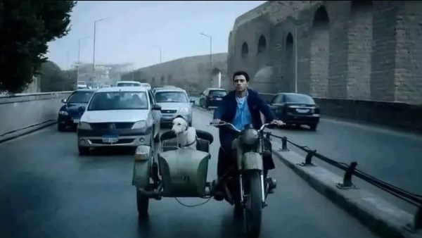 عرض فيلم البحث عن منفذ لخروج السيد رامبو بنادي السينما.. الأربعاء عرض فيلم البحث عن منفذ لخروج السيد رامبو بنادي السينما.. الأربعاء