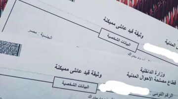 شروط استخراج قيد عائلى 2025 عبر الإنترنت والأوراق المطلوبة