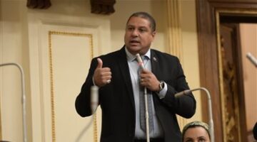 البرلمان يناقش مشروع قانون نائب التنسيقية محمد إسماعيل بشأن تعديل قانون الثروة المعدنية