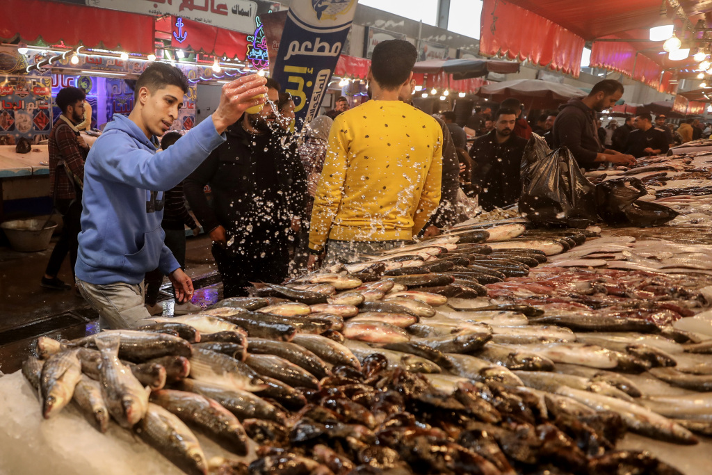 البوري والجمبري يرتفعان.. أسعار الأسماك اليوم السبت 26 أبريل 2025 البوري والجمبري يرتفعان.. أسعار الأسماك اليوم السبت 26 أبريل 2025