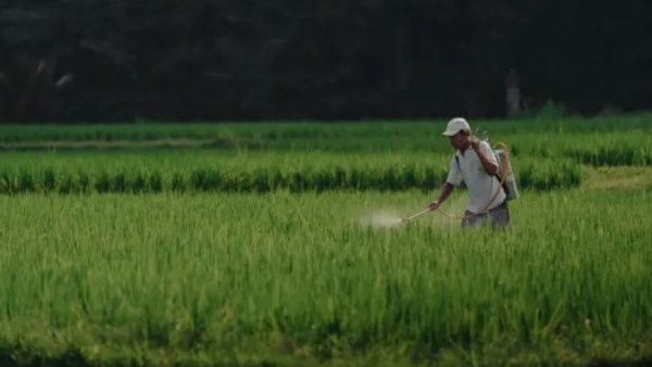 لتجنب تضرر المحاصيل.. 8 توصيات عاجلة للمزارعين