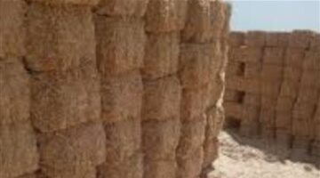زيادة تكلفته تؤدي إلى قفزة في أسعار اللحوم.. مطالبات بوقف تصدير التبن بعد ارتفاع سعره