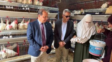 بحوث الصحراء والفاو ينظمان مؤتمر تعزيز العيش المستدام في جنوب سيناء