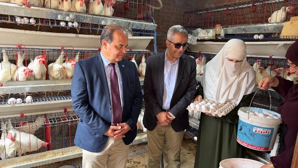 بحوث الصحراء والفاو ينظمان مؤتمر تعزيز العيش المستدام في جنوب سيناء بحوث الصحراء والفاو ينظمان مؤتمر تعزيز العيش المستدام في جنوب سيناء