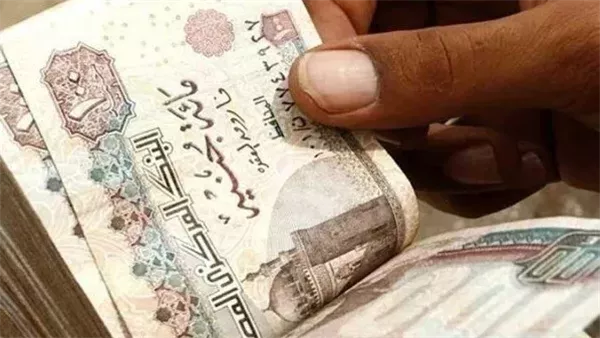 صرف معاشات شهر مايو 2025 يبدأ الخميس 1 مايو.. اعرف أماكن الصرف وطريقة الاستعلام صرف معاشات شهر مايو 2025 يبدأ الخميس 1 مايو.. اعرف أماكن الصرف وطريقة الاستعلام