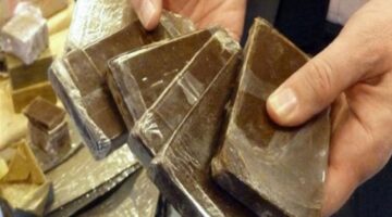 بحوزتهما 12.5 كيلو حشيش.. القبض على المتهمين بمحاولة ترويج المخدرات في الإسكندرية