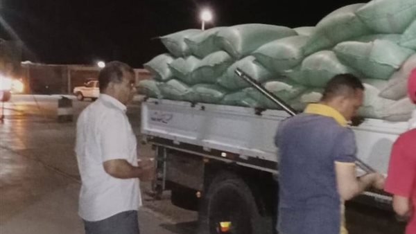 توريد 49 ألف طن من القمح بشون وصوامع المنيا توريد 49 ألف طن من القمح بشون وصوامع المنيا