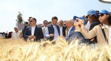الزراعة: توفير 20 ماكينة حصاد آلي لمزارعي القمح بالشرقية.. وافتتاح محطة للري المطور