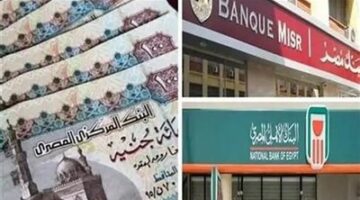 إيقاف شهادات الادخار الدولارية في بنكي الأهلي ومصر: كل ما تحتاج معرفته عن عوائدها