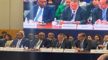 حسن عبدالله: زيادة عدد المشروعات القابلة للتمويل في إفريقيا لجذب رأس المال الخاص أصبح ضرورة