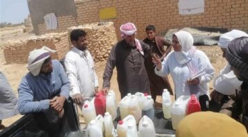 بحوث الصحراء يدعم الزراعة العضوية ويُدرب مزارعي مطروح على الممارسات البيئية المستدامة
