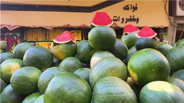 شعبة الفاكهة تكشف موعد تراجع أسعار البطيخ في الأسواق شعبة الفاكهة تكشف موعد تراجع أسعار البطيخ في الأسواق