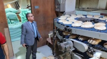 الدقهلية: ضبط أكثر من نصف طن جبن ودقيق وأسماك منتهية الصلاحية