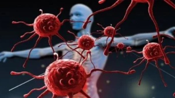 نوع خضار غير متوقع يمنع السرطان والأمراض المزمنة نوع خضار غير متوقع يمنع السرطان والأمراض المزمنة