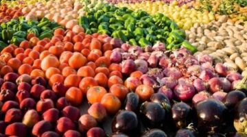 وزارة الاستثمار: خطة سنوية لتعزيز نفاذ الصادرات المصرية لأمريكا وأوروبا