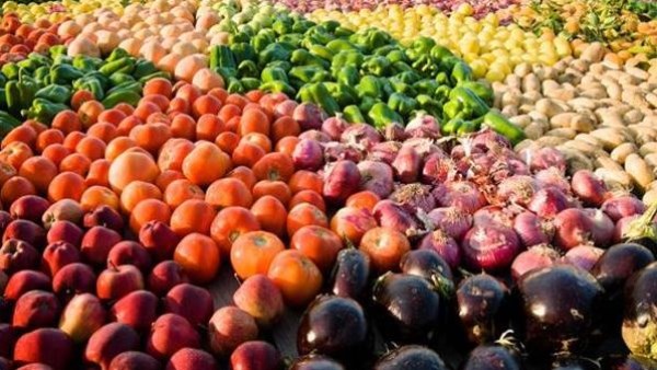 وزارة الاستثمار: خطة سنوية لتعزيز نفاذ الصادرات المصرية لأمريكا وأوروبا وزارة الاستثمار: خطة سنوية لتعزيز نفاذ الصادرات المصرية لأمريكا وأوروبا