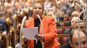 نائبة: مصر نموذج رائد في تحقيق الاستقرار الأمني والاقتصادي رغم التحديات الإقليمية والدولية