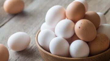 مفاجأة في سعر كرتونة البيض .. 70 جنيها دفعة واحدة