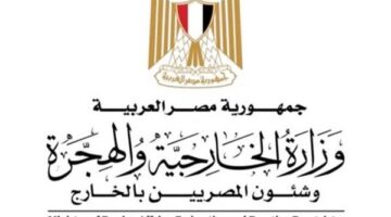 تصريح هام من الخارجية بشأن مبادرة السيارات للمصريين بالخارج