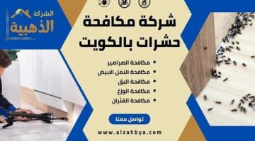 كيفية التخلص من الحشرات الصغيرة في المنزل