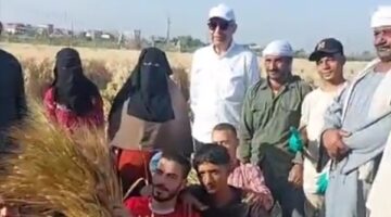 محافظ المنيا يشهد حصاد القمح بقرية التوفيقية